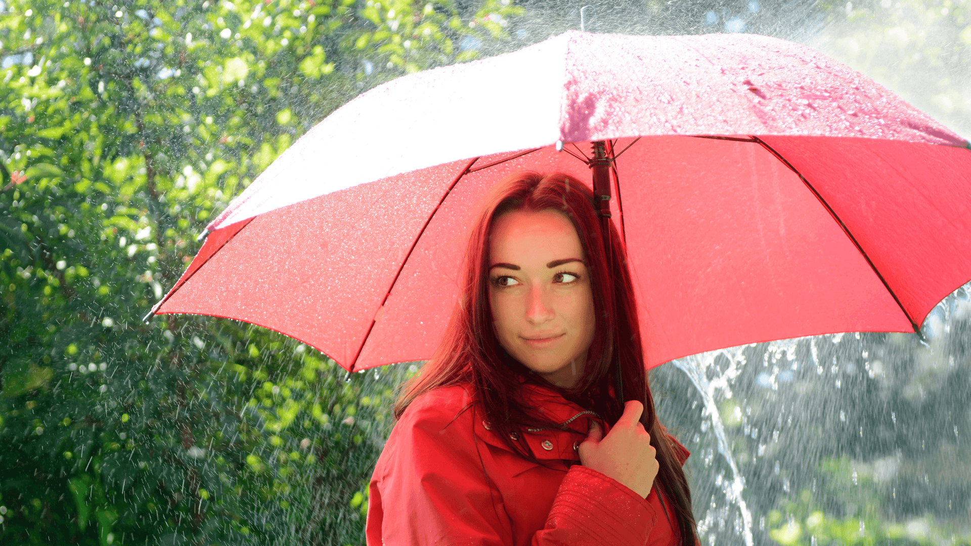 How To Take Care Of Oily Skin During Monsoons – DeBelle Cosmetix Online ...