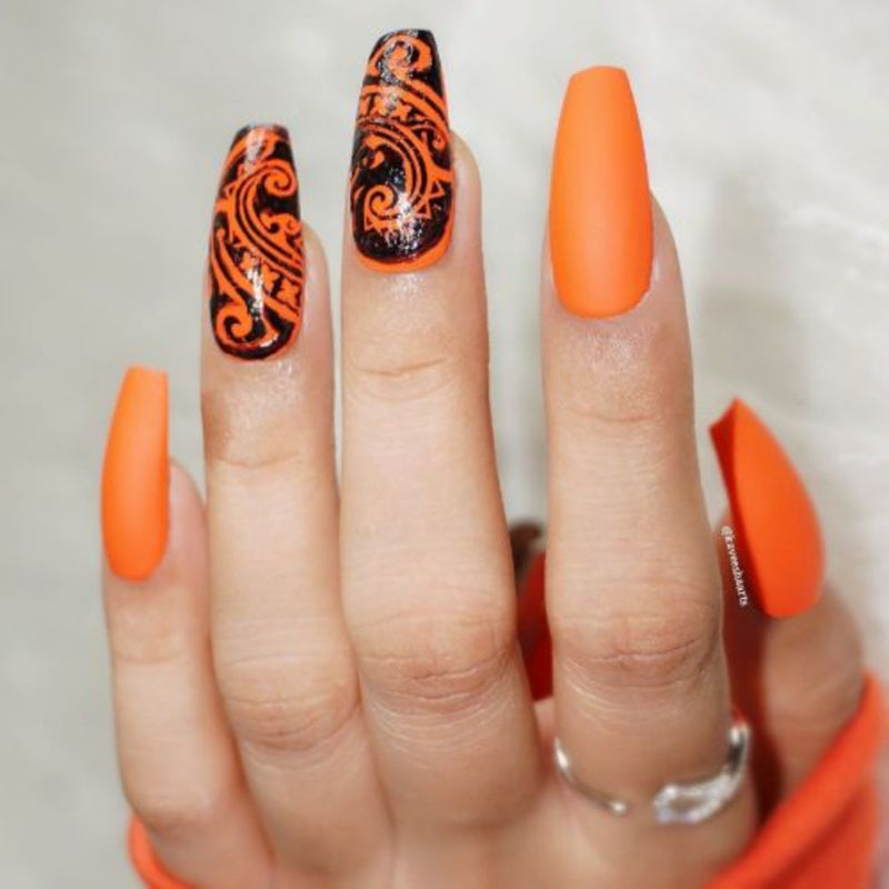 DeBelle Gel Nail Lacquers Combo of 5