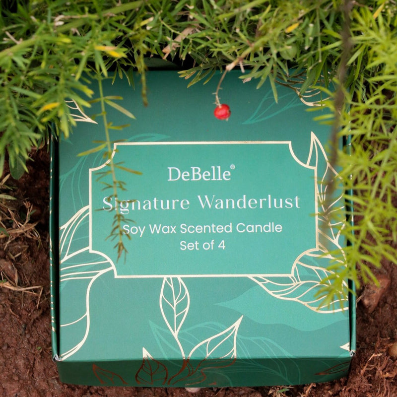 non toxic and eco-friendly, perfect for gifting.