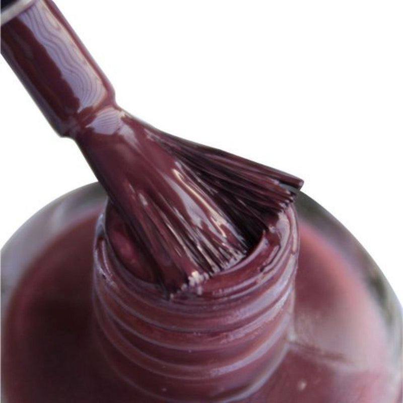 DeBelle Gel Nail Lacquers Combo of 2(Scarlet Ruby,Plum Toffee)