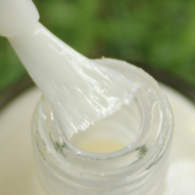 DeBelle Nail Primer 15 ml - DeBelle Cosmetix Online Store